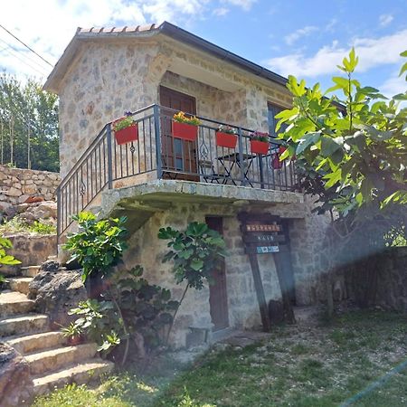 Vila Pegaz Virpazar Exterior photo