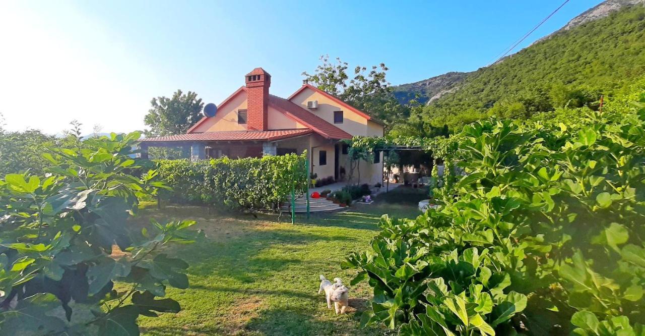 Vila Pegaz Virpazar Exterior photo